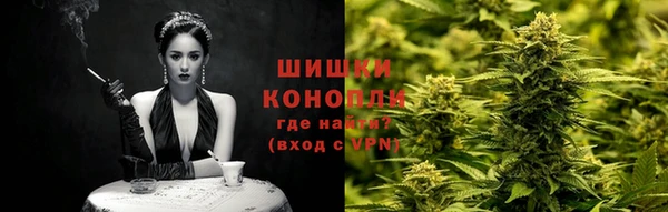 ECSTASY Горняк