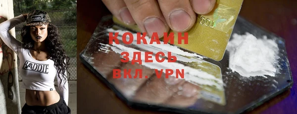 ECSTASY Горняк