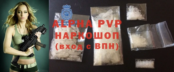 ECSTASY Горняк