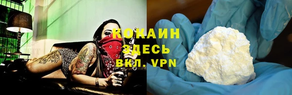 ECSTASY Горняк