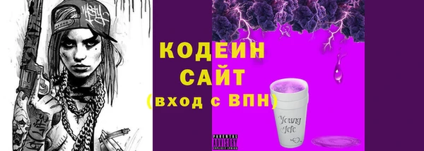 индика Вяземский