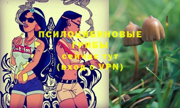 прущий лед Горно-Алтайск