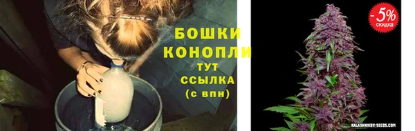 ECSTASY Горняк