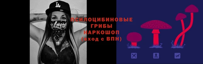 мяу мяу мука Горнозаводск