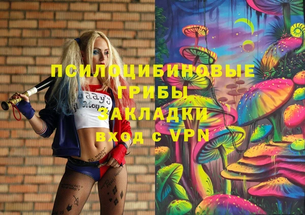 прущий лед Горно-Алтайск