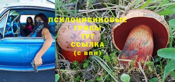 мяу мяу мука Горнозаводск