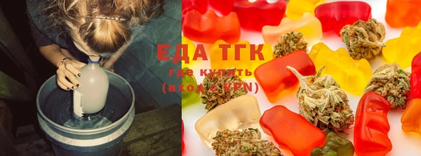 ECSTASY Горняк